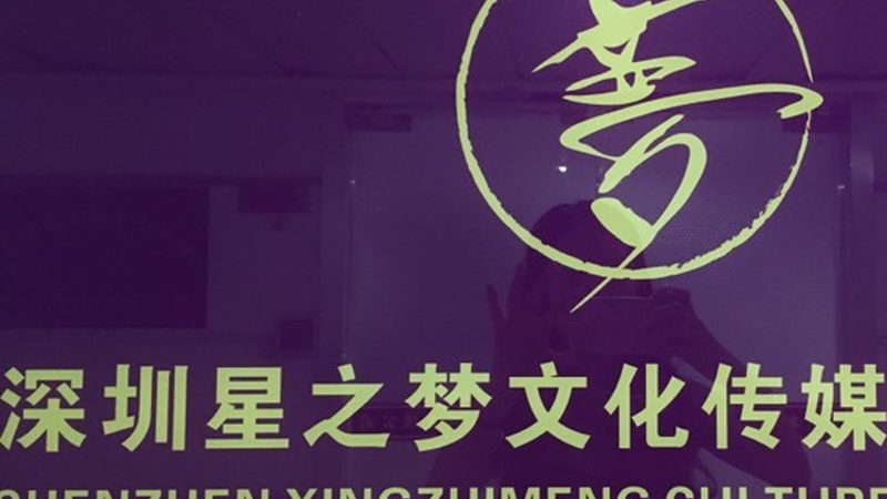 品牌设计代理报价明细：揭秘企业品牌形象塑造的幕后成本