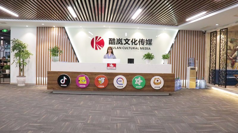 揭秘上海品牌设计公司服务流程：从创意到落地的全解析