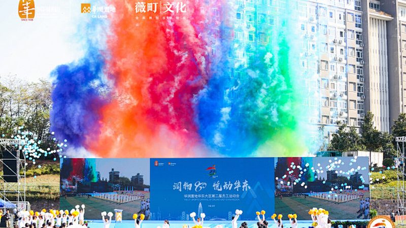 媒介投放平台选哪家？揭秘三大关键考量因素
